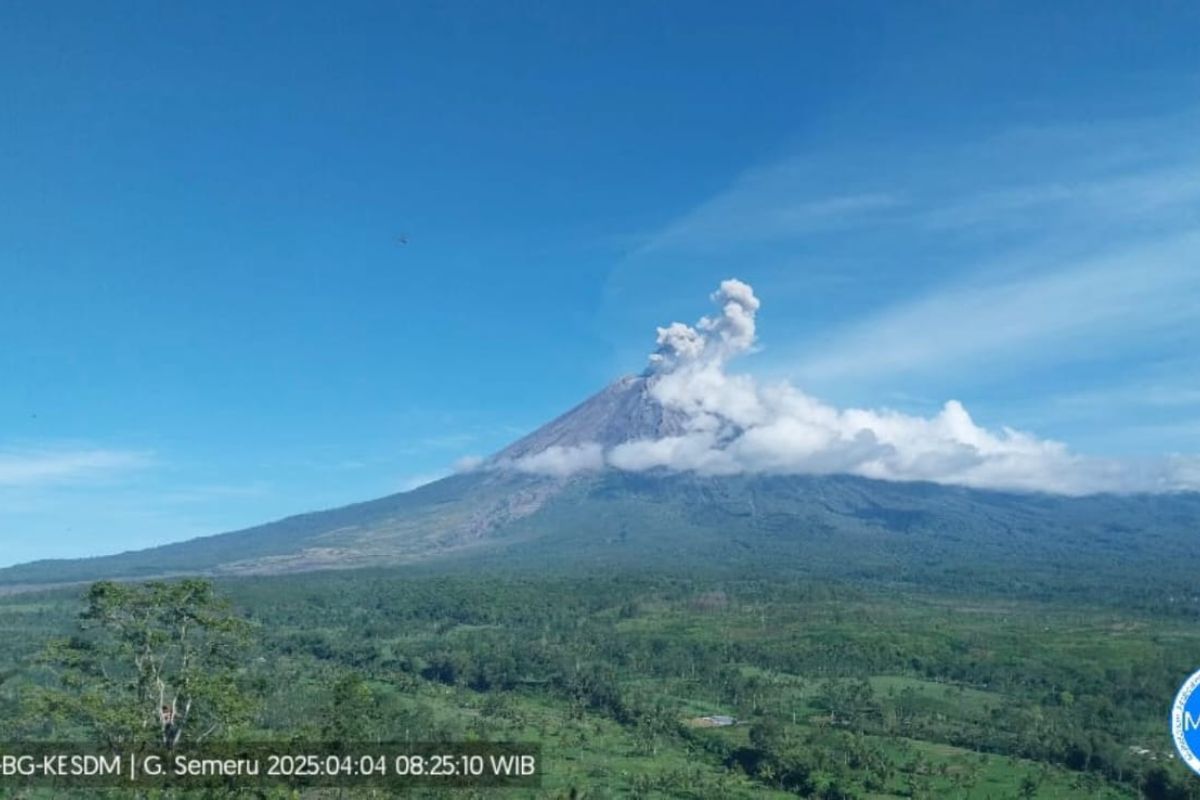 Gunung Semeru erupsi empat kali disertai letusan hingga setinggi 800 meter