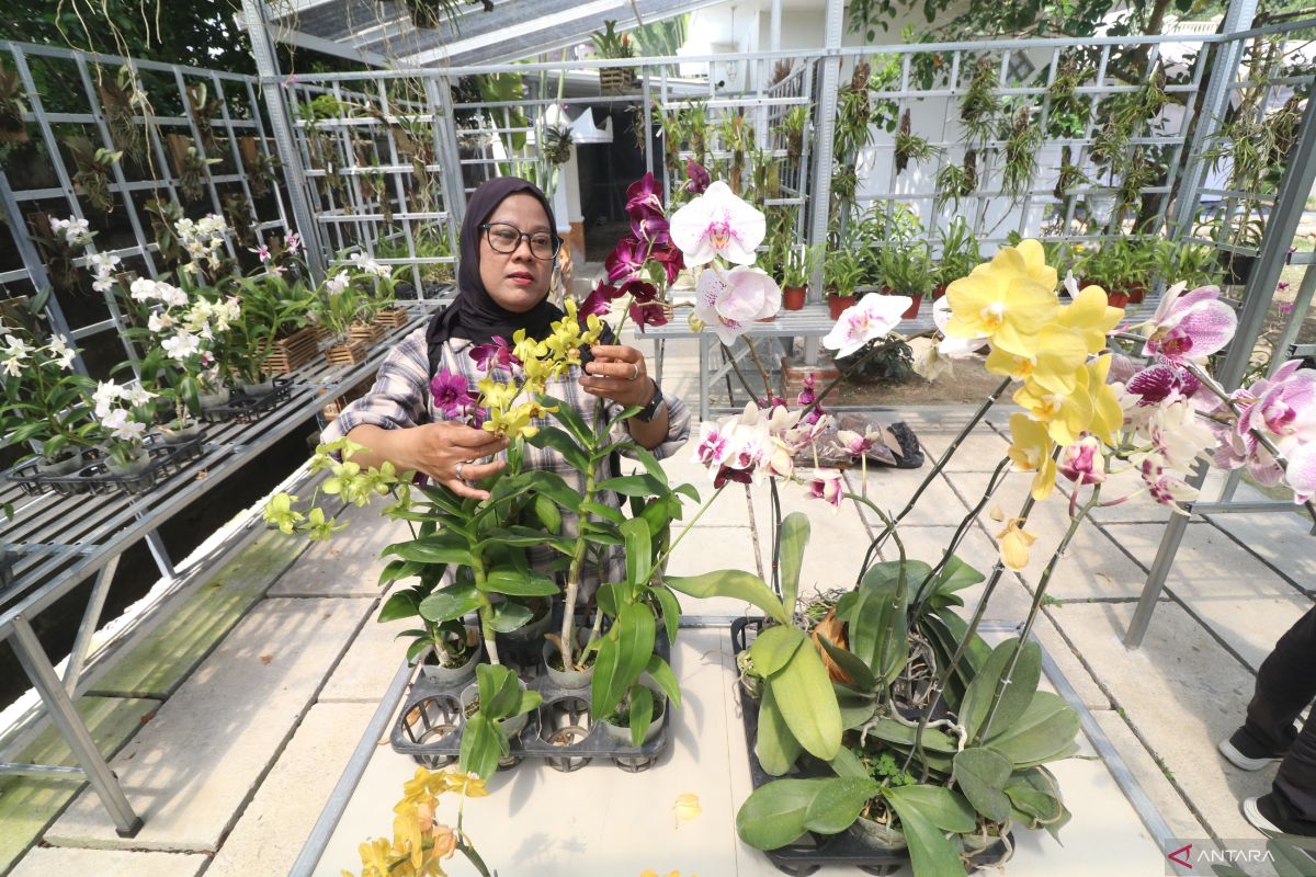 Tren tanaman hias 2025: Indah, praktis, dan menenangkan