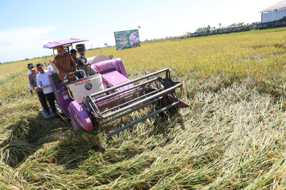 Harga gabah kering panen di tingkat petani Banten Rp6.500 per kg