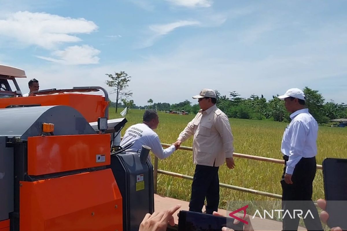 Mentan: Tambahan pupuk dan perbaikan irigasi dongkrak semangat petani