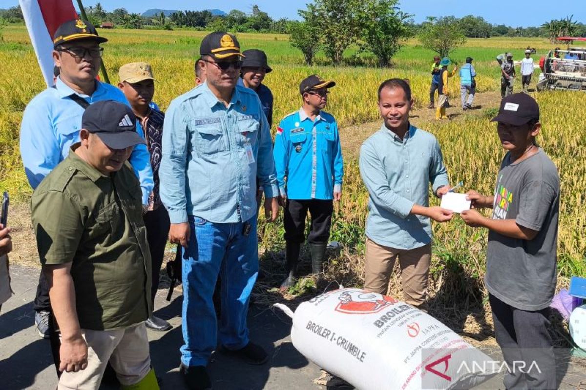 Bulog Barabai targetkan serap 3.200 ton beras sambut panen raya