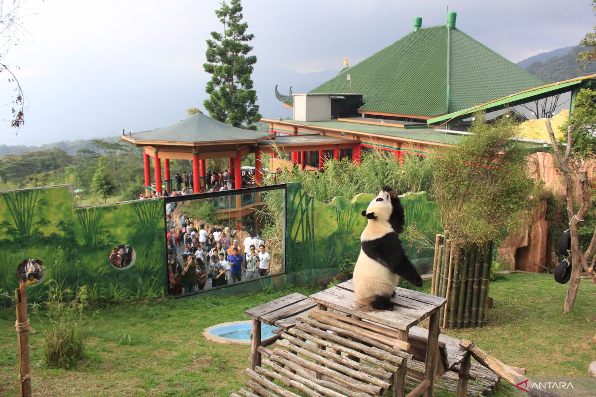 Taman Safari komitmen perkuat wisata Indonesia di mata dunia