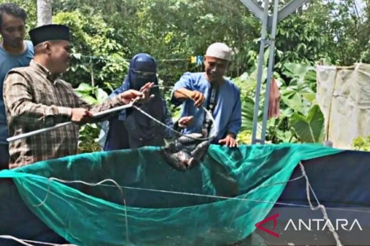 BPPP Ambon  edukasi kelompok budidaya ikan dengan sistem bioflok