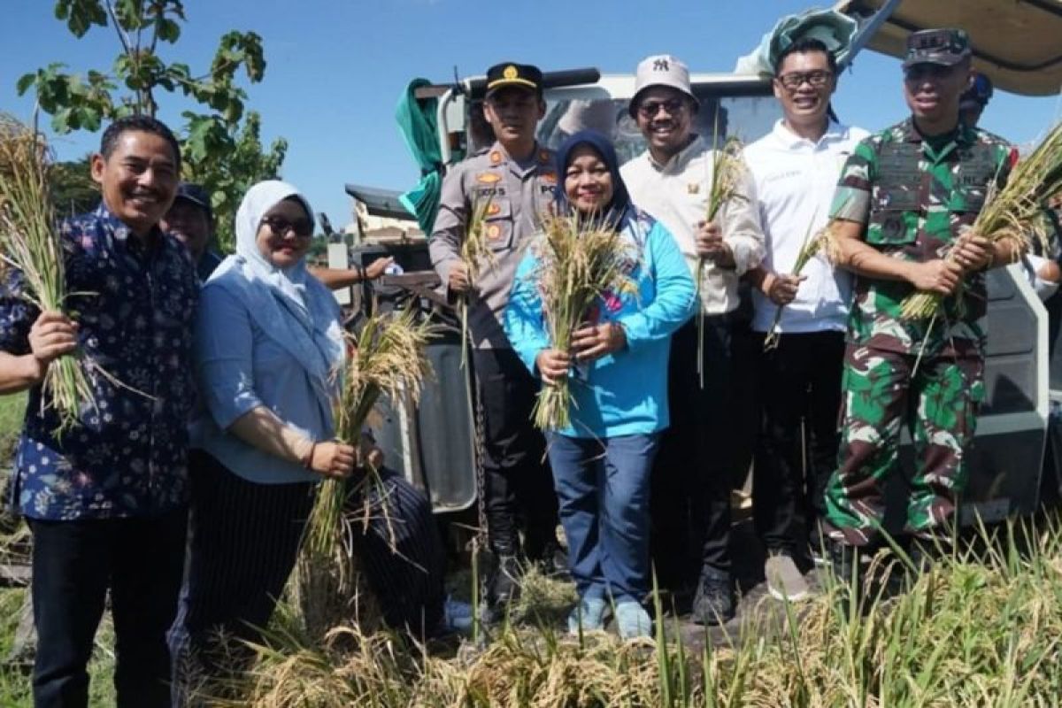 Produksi padi Magetan pada 2025 ditarget capai 393.354 ton GKG