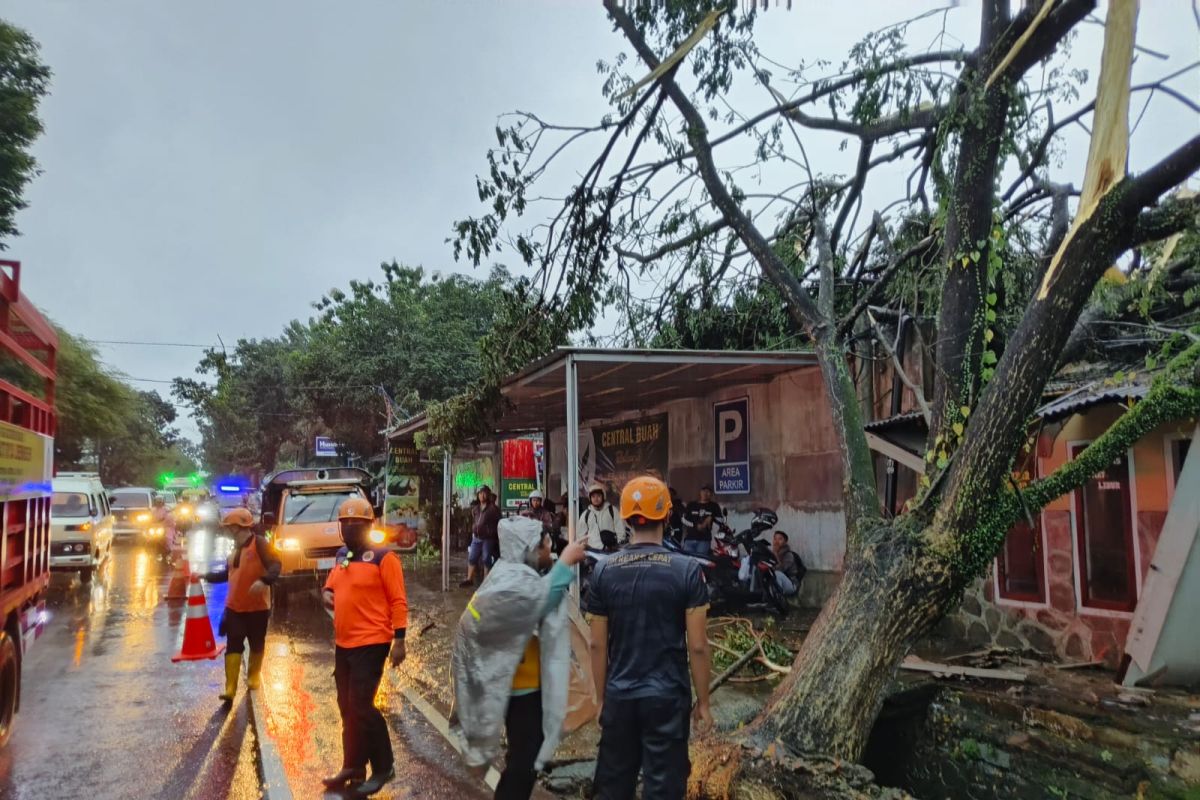 Sejumlah rumah dan Kantor Koramil di Jember rusak akibat angin kencang