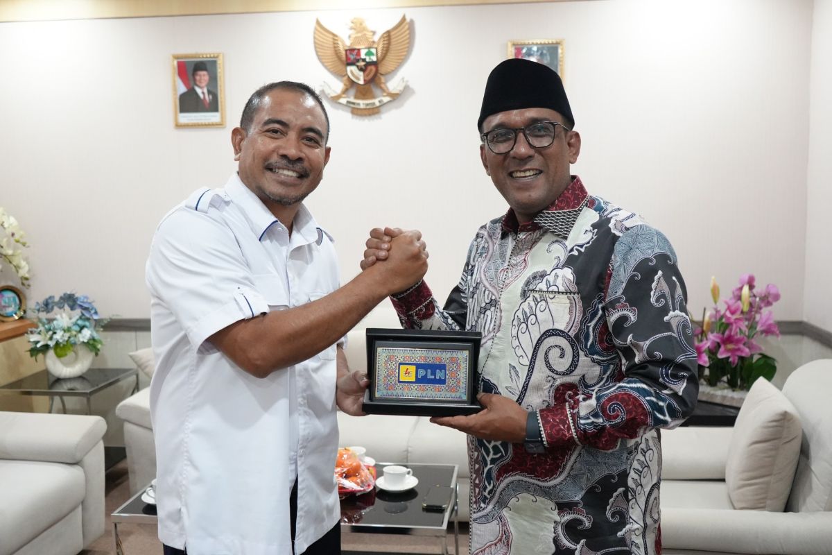PLN UIW MMU bersama Pemkab Maluku Tengah bersinergi hadirkan listrik di area 3T