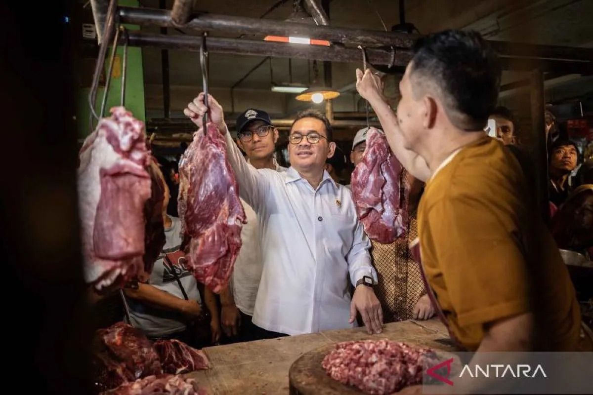 APPDI: Penghapusan kuota impor dapat benahi tata niaga daging