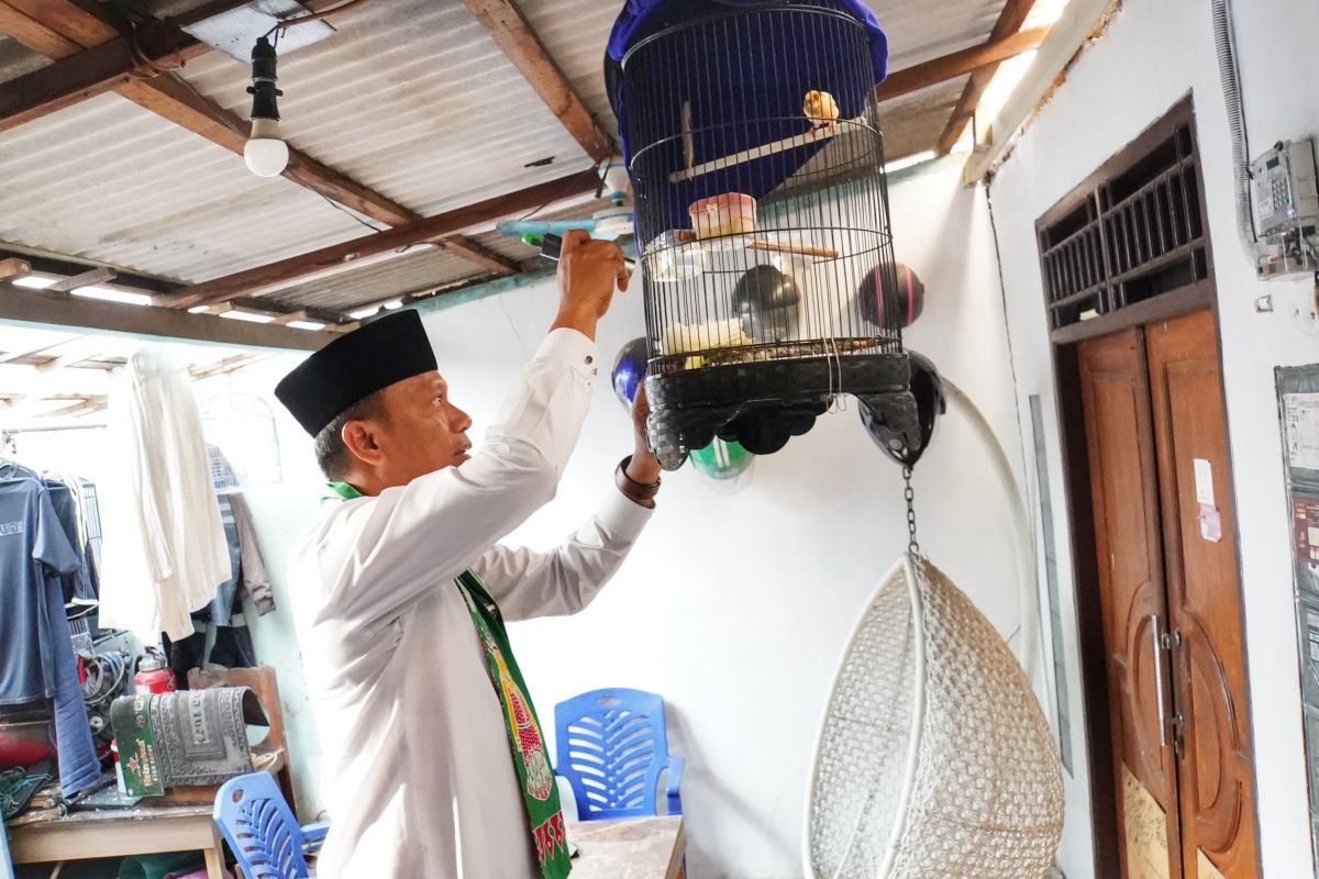 Jaksel pastikan tak ada kasus DBD di Cilandak Timur