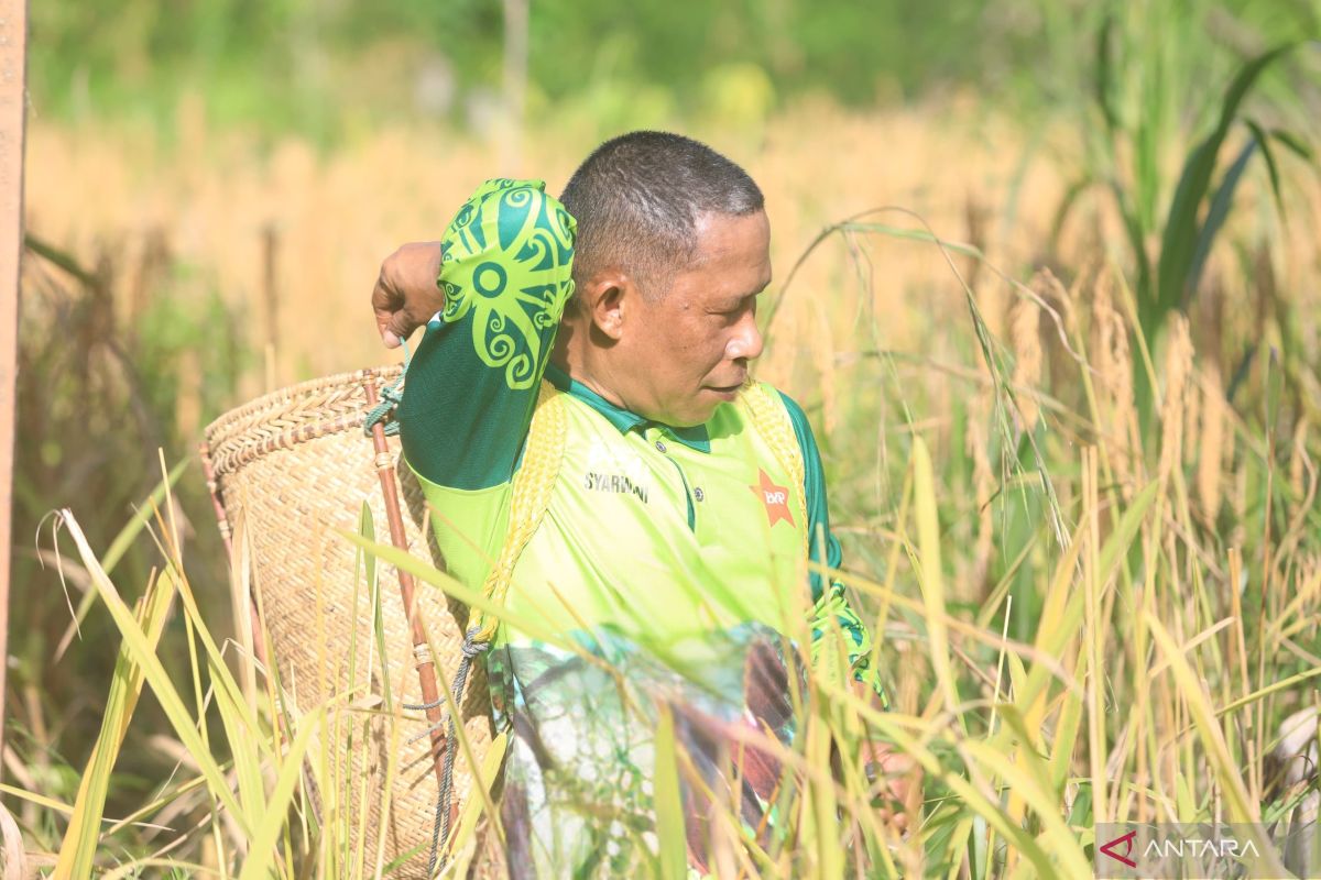Bupati Bulungan serap beras lokal melalui ASN