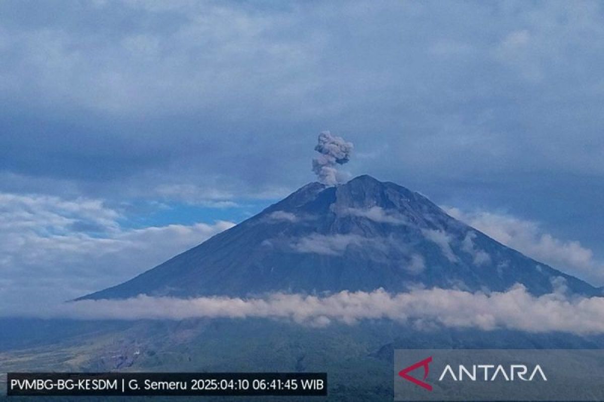Gunung Semeru lima kali erupsi dengan tinggi letusan hingga 800 meter