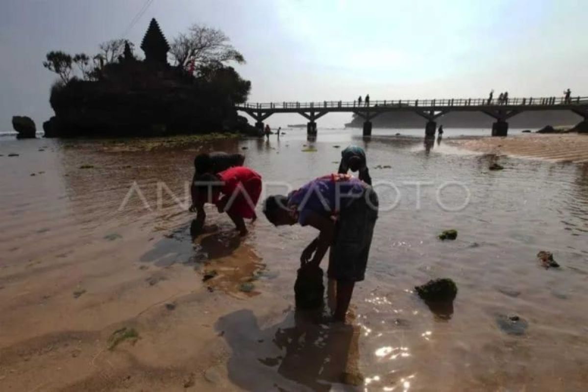 BPBD imbau wisatawan waspada kondisi ombak di pantai Malang Selatan