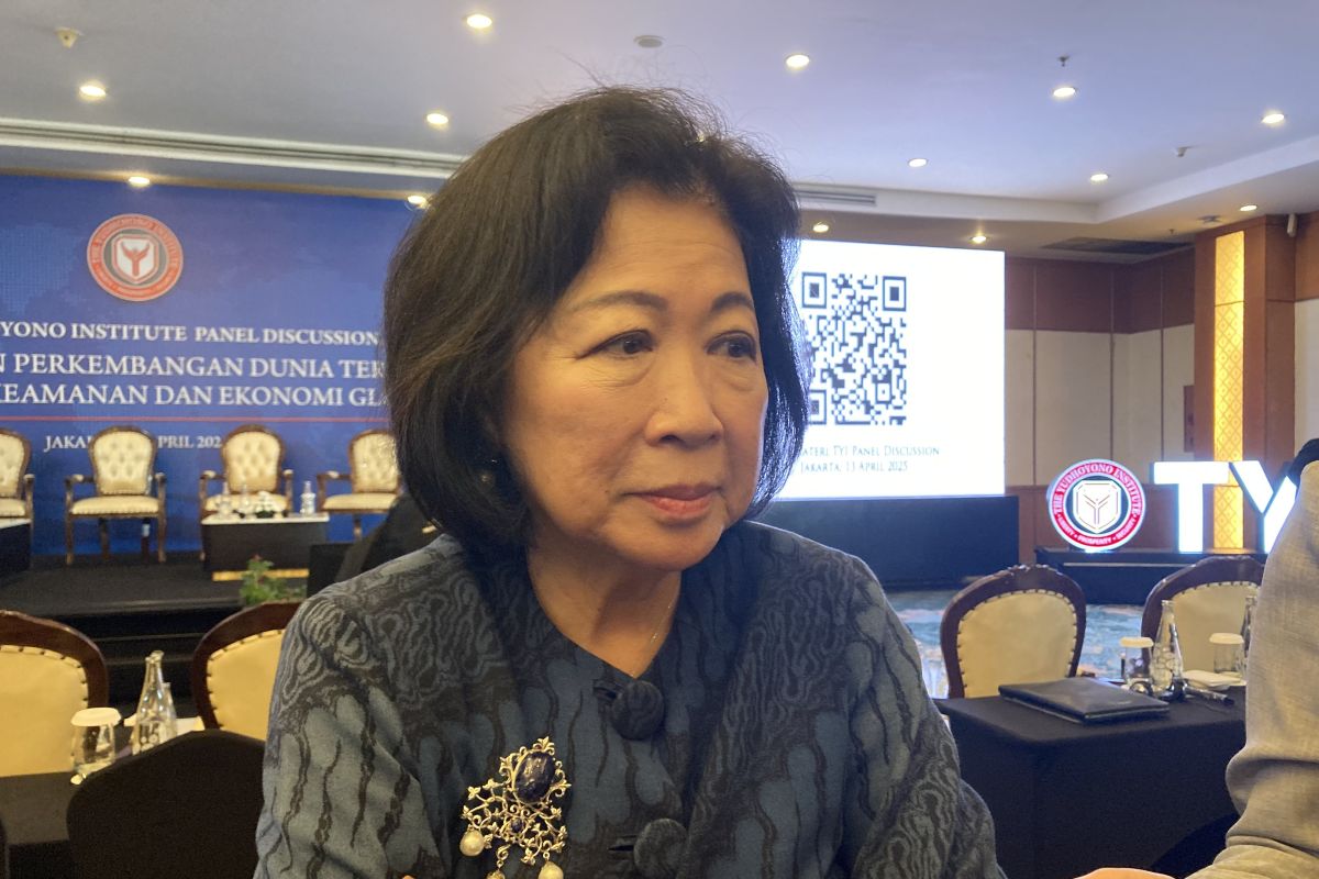 Wakil Ketua DEN sarankan RI juga bernegosiasi dengan China