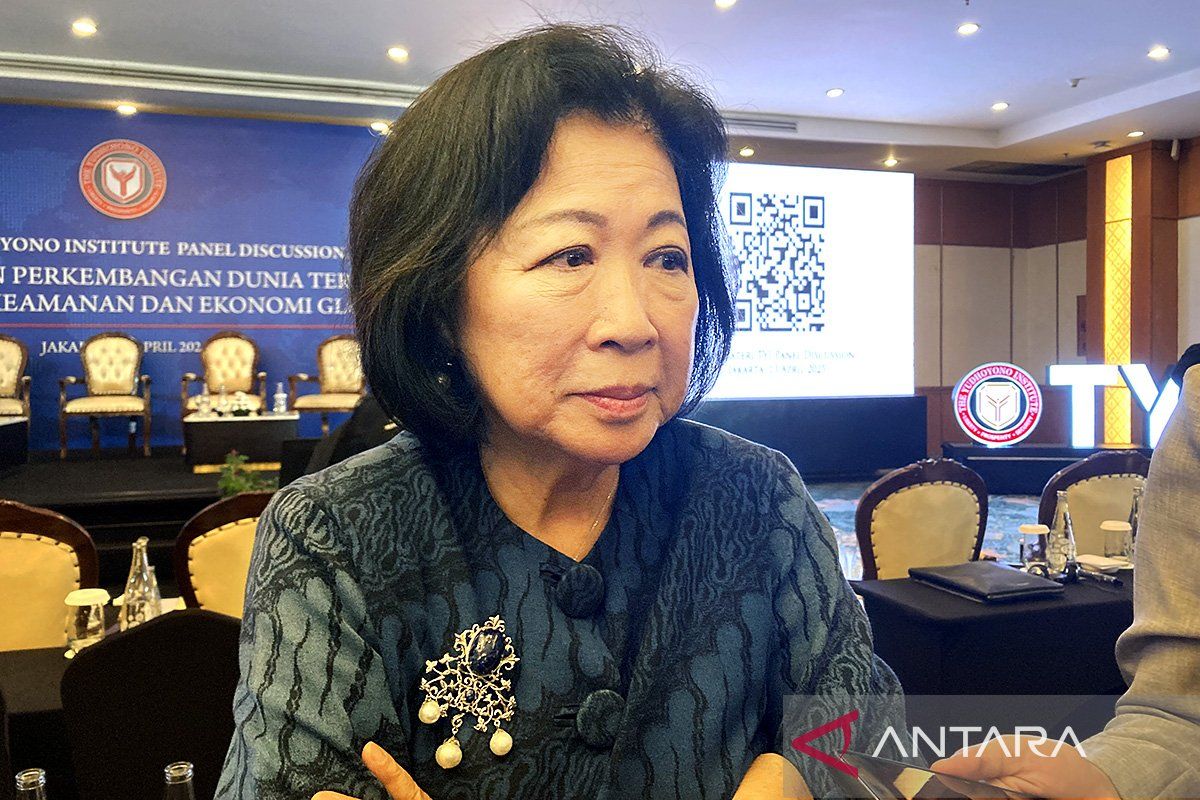 Wakil Ketua DEN sarankan RI juga bernegosiasi dengan China