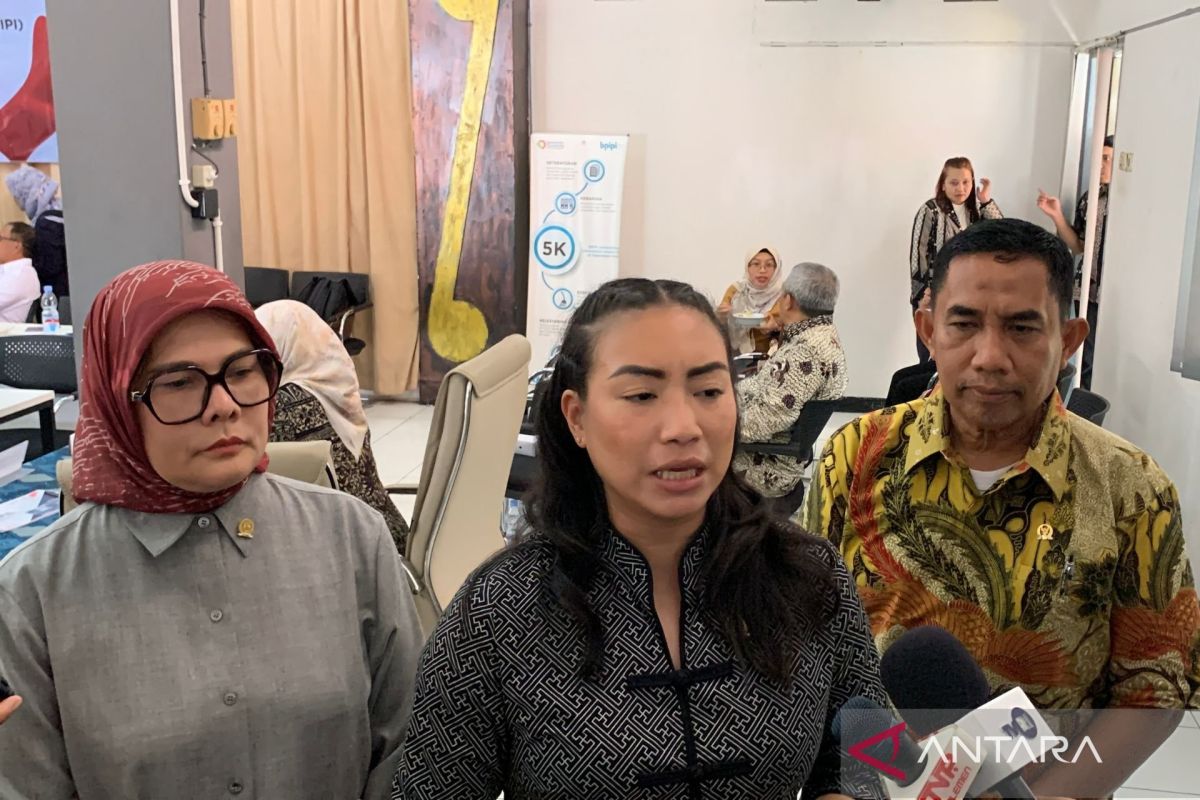 Komisi VII minta BPIPI tingkatkan promosi produk sepatu IKM