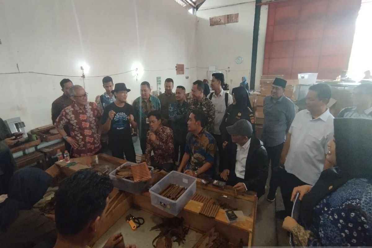 Bea Cukai sebut pengungkapan rokok ilegal didominasi rokok polos