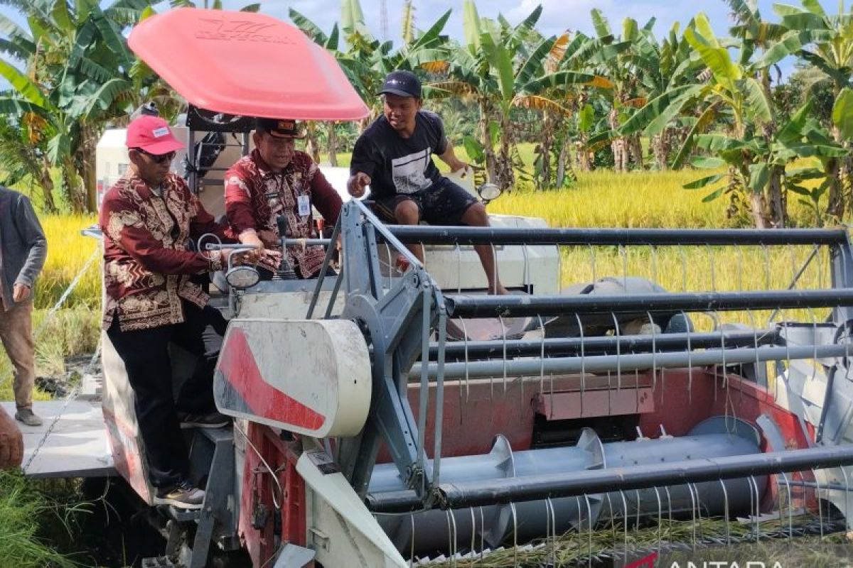 Gapoktan Desa Banua Rantau suplai beras program bela tani