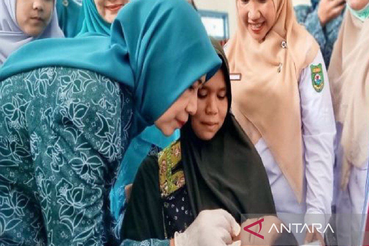 Ketua PKK tekankan kebersihan rumah  bagi ibu hamil guna jaga kandungan