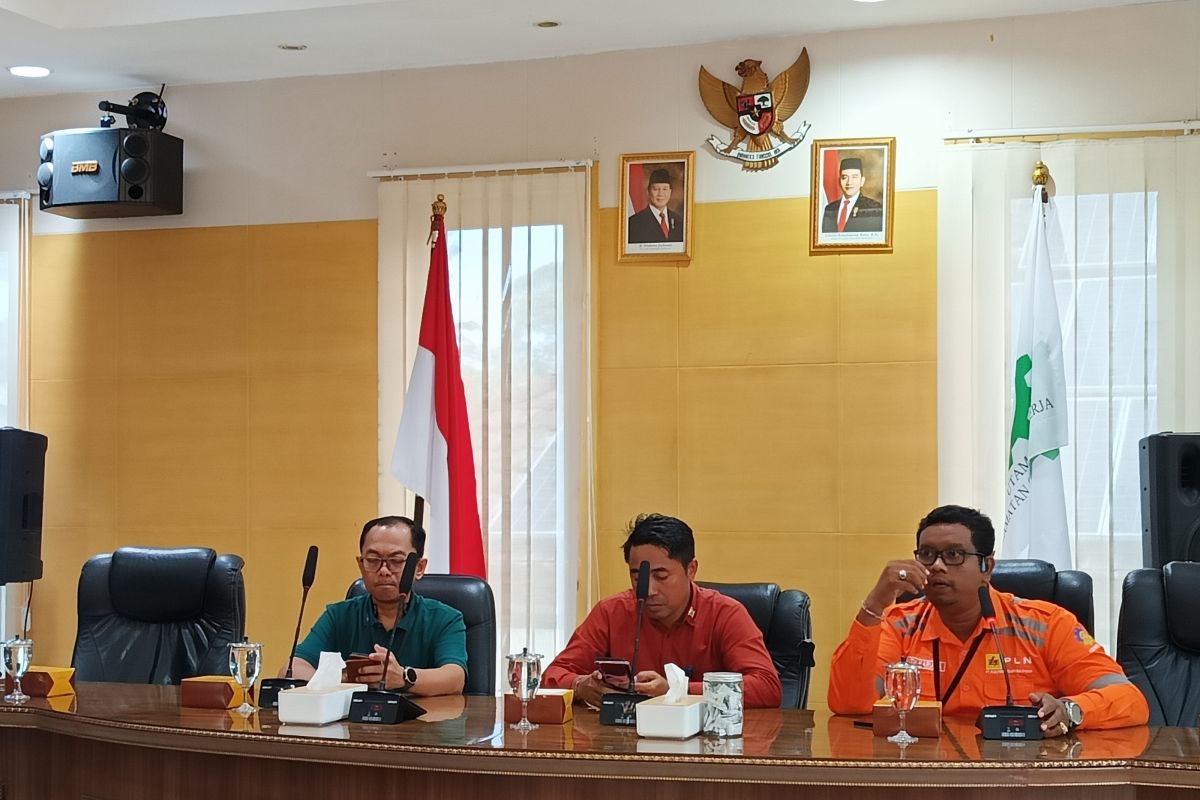 PLN mengimbau masyarakat pasang penjor tak mengganggu jaringan listrik