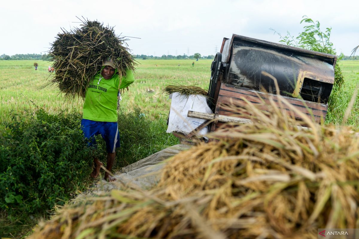 Menata ulang regulasi industri pangan Indonesia