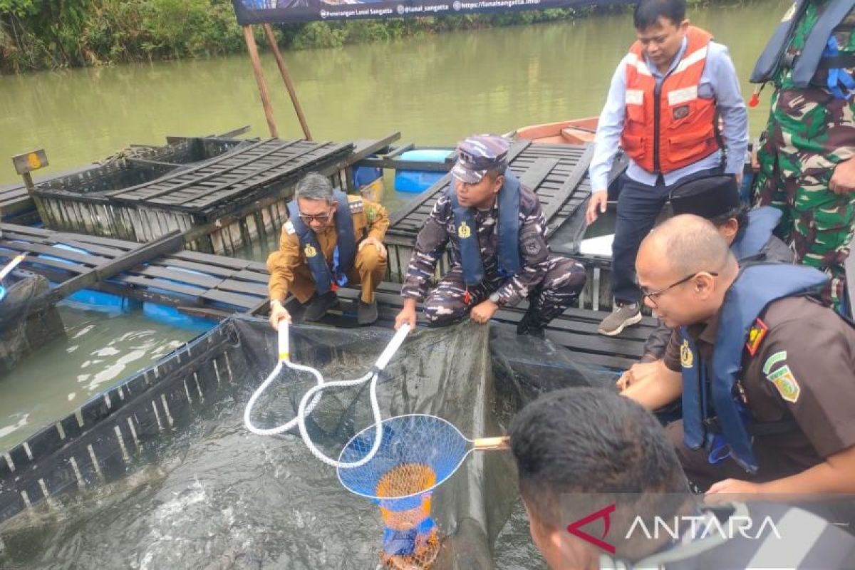 Lanal Sangatta manfaatkan telaga pasca tambang dalam budidaya ikan air tawar