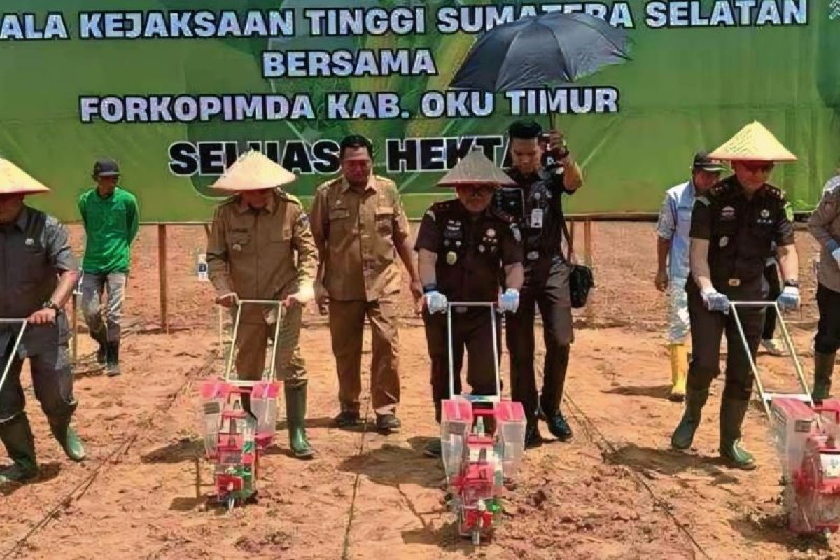 Kejati Sumsel tanam jagung di Kabupaten OKU Timur