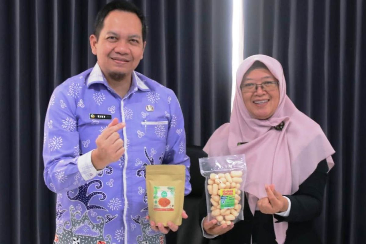 BKKBN Kaltim  kolaborasi wujudkan kemandirian 490 UMKM binaan