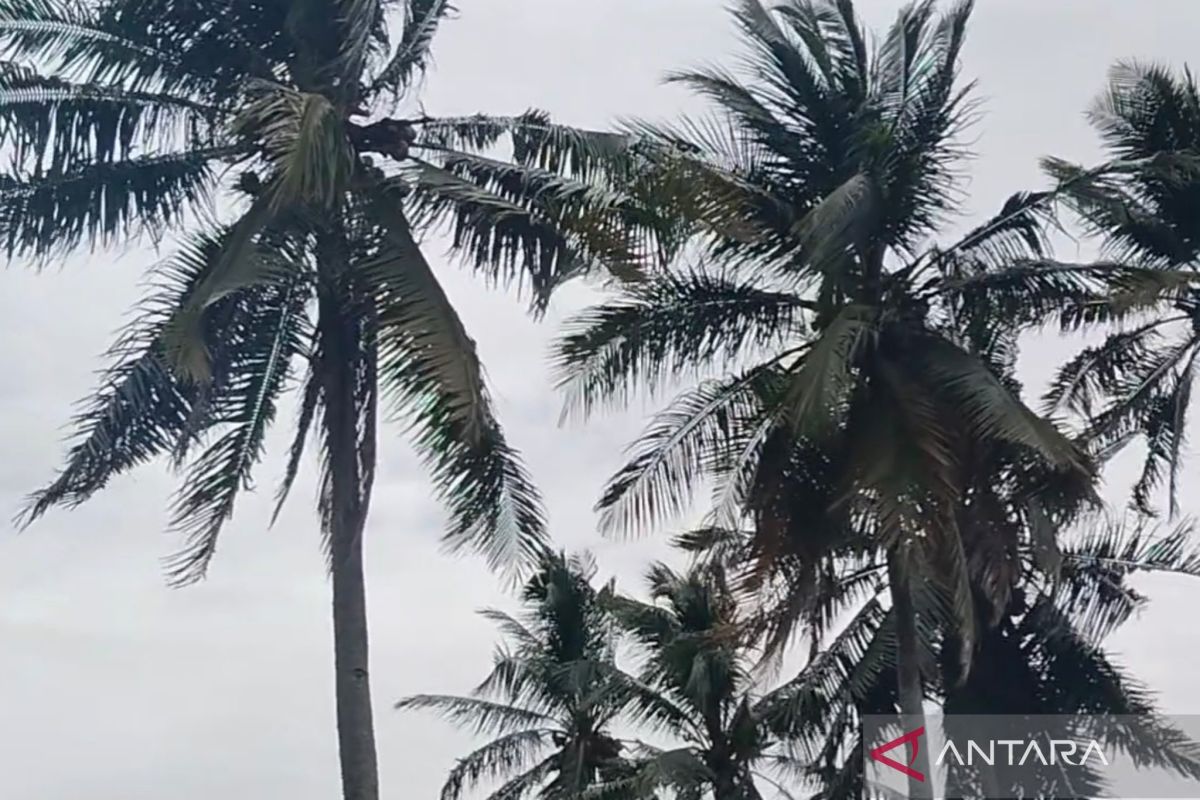 BPBD imbau waspada potensi hujan disertai petir di Mukomuko