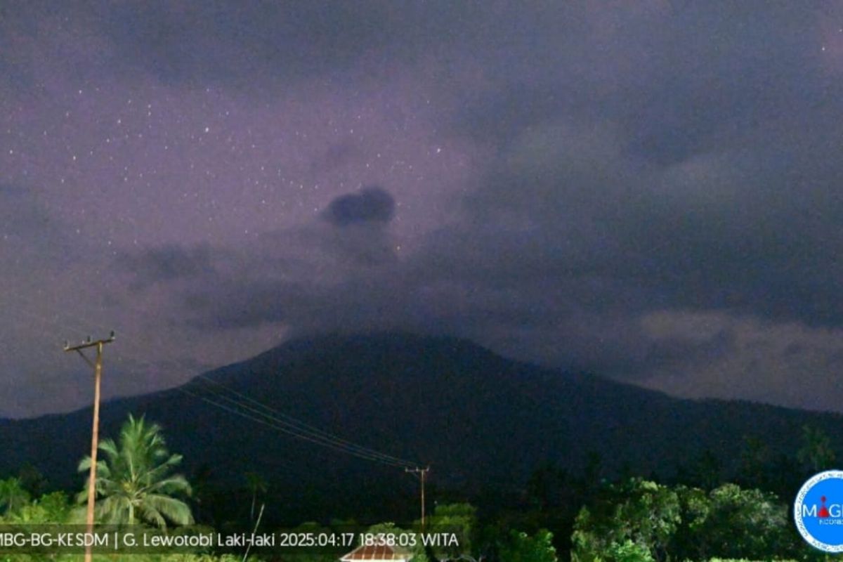 Gunung Lewotobi Laki-laki erupsi satu kali pada Kamis malam