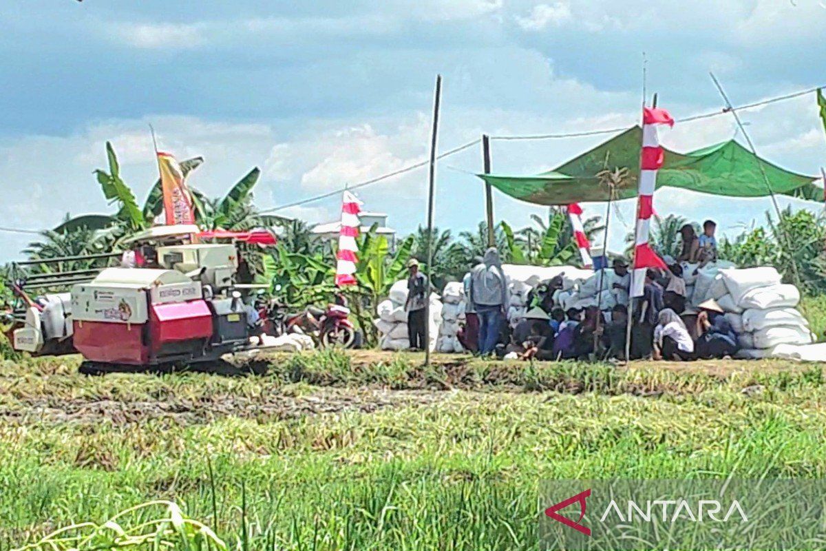 Petani Kotim akui kenaikan HPP gabah membawa dampak signifikan