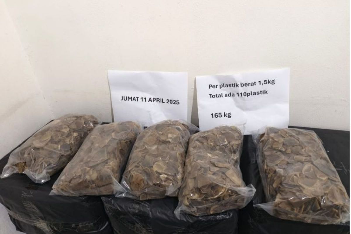 Kemenhut gagalkan perdagangan 165 kg sisik trenggiling yang dilindungi