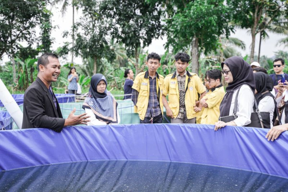 GoTo Impact Foundation tingkatkan kesejahteraan petani melalui Magelang Setories