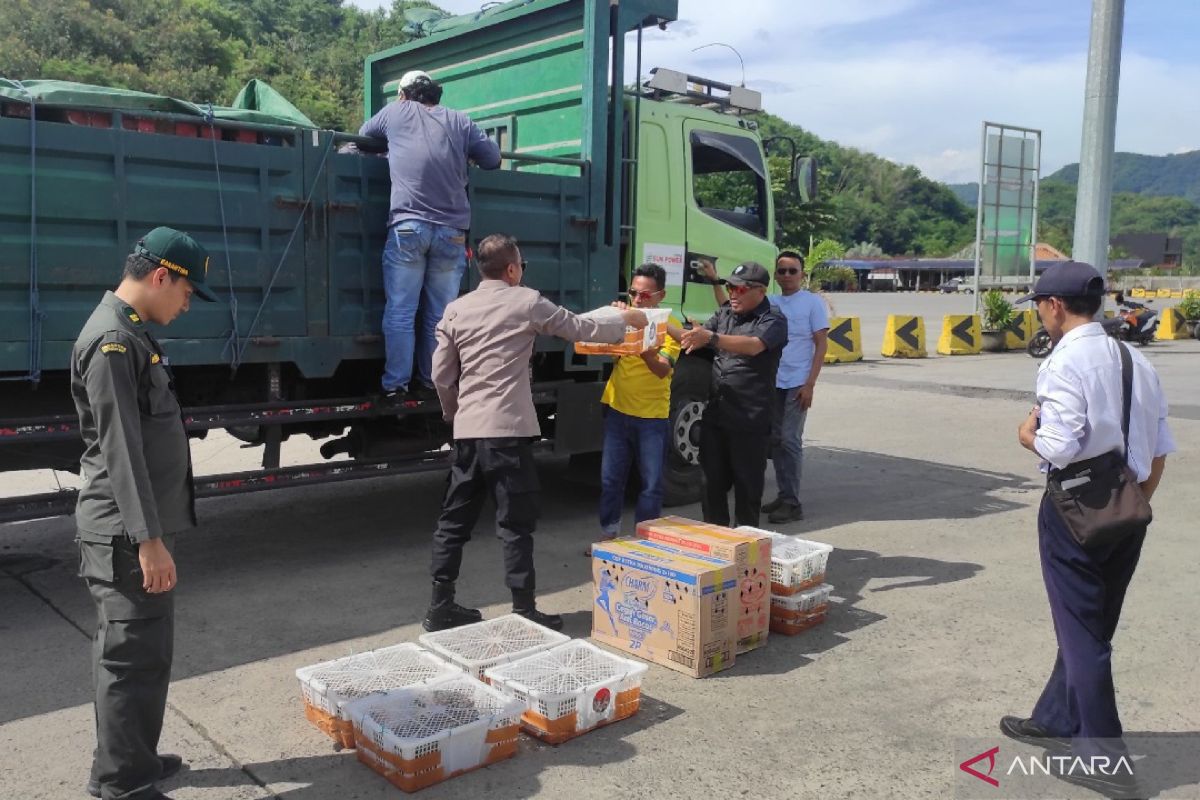 Balai Karantina NTB serahkan kasus pengiriman ratusan burung ilegal ke BKSDA