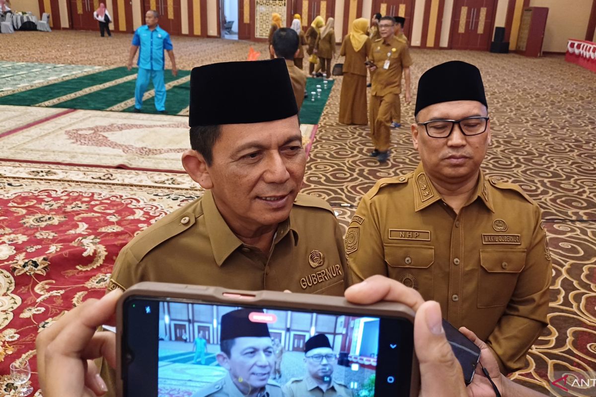 Gubernur Kepri sebut rasio elektrifikasi terus meningkat sejak 2020