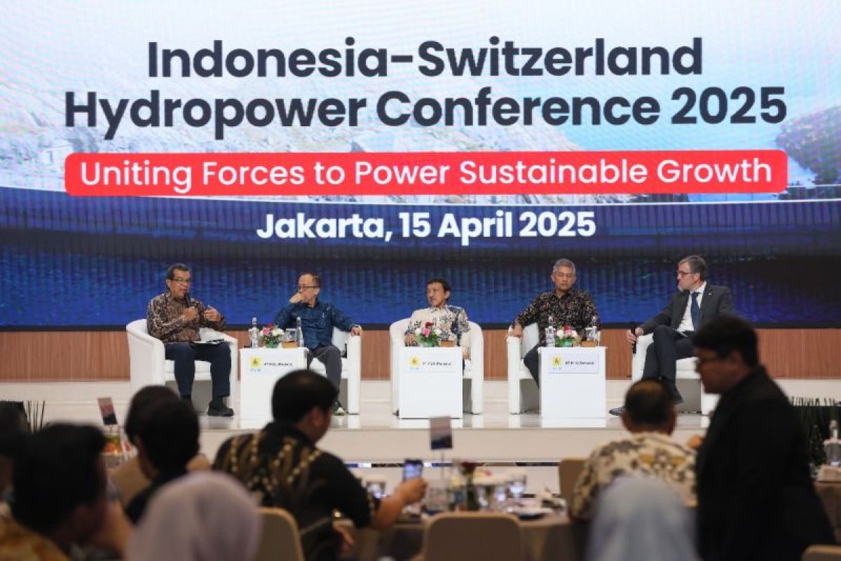 PLN Terus Jalin Kolaborasi Global, Kembangkan Energi Hidro di Indonesia