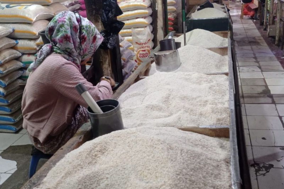 Produksi beras di Kabupaten Lebak surplus