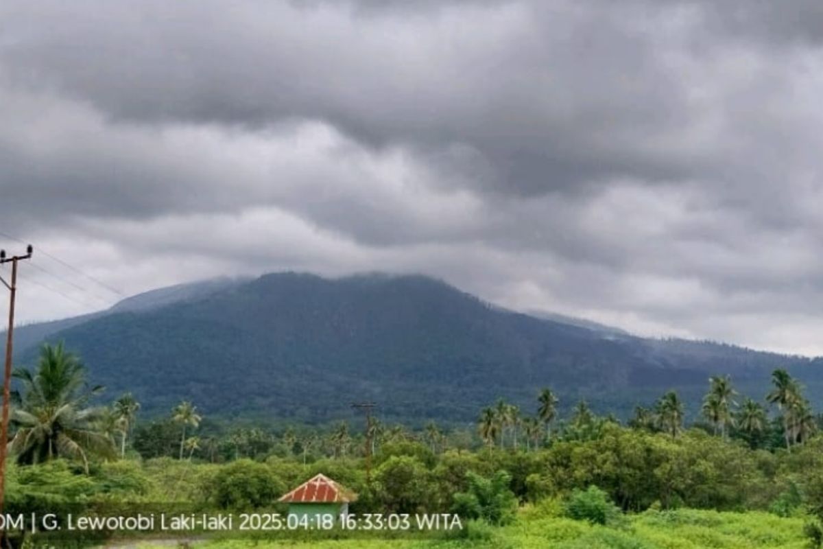 Gunung Lewotobi Laki-laki sembilan kali erupsi pada Jumat