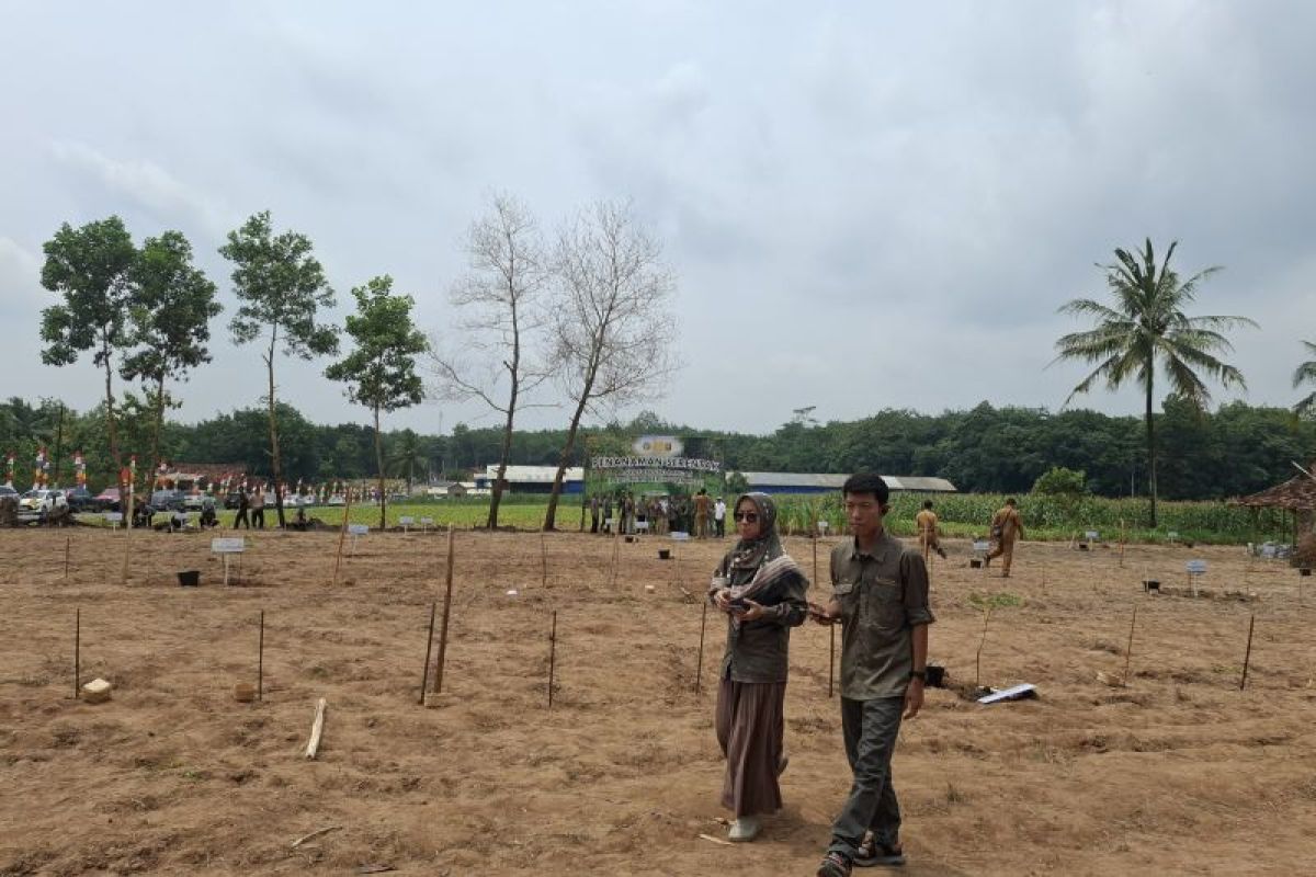 420 ha hutan produksi di Lampung diusulkan tanam padi gogo