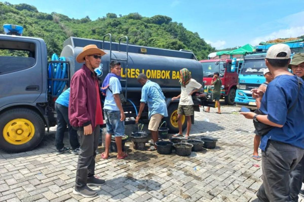 NTB kirim 8.000 ekor sapi ke Jabodetabek jelang Idul Adha 1446 H
