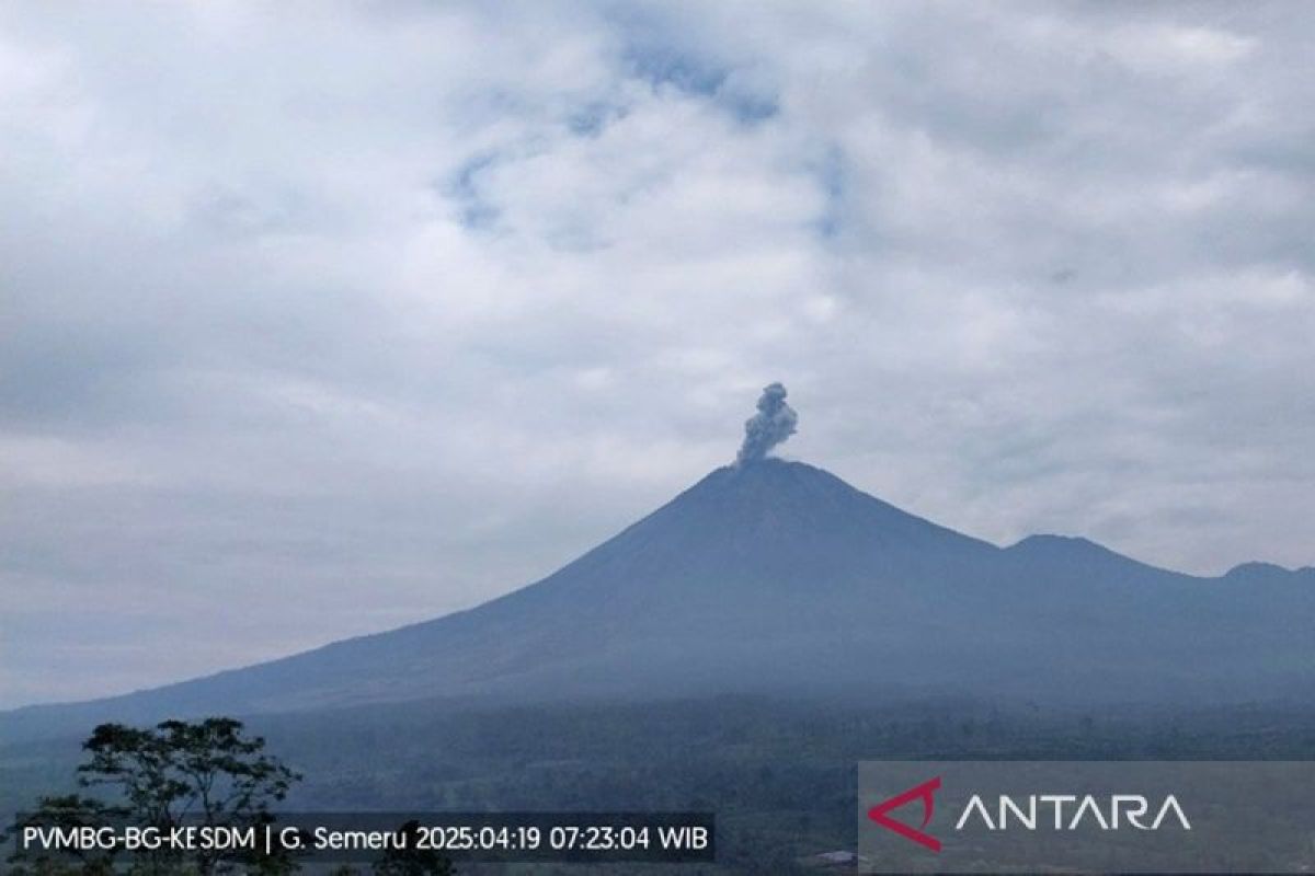 Petugas catat Gunung Semeru erupsi empat kali