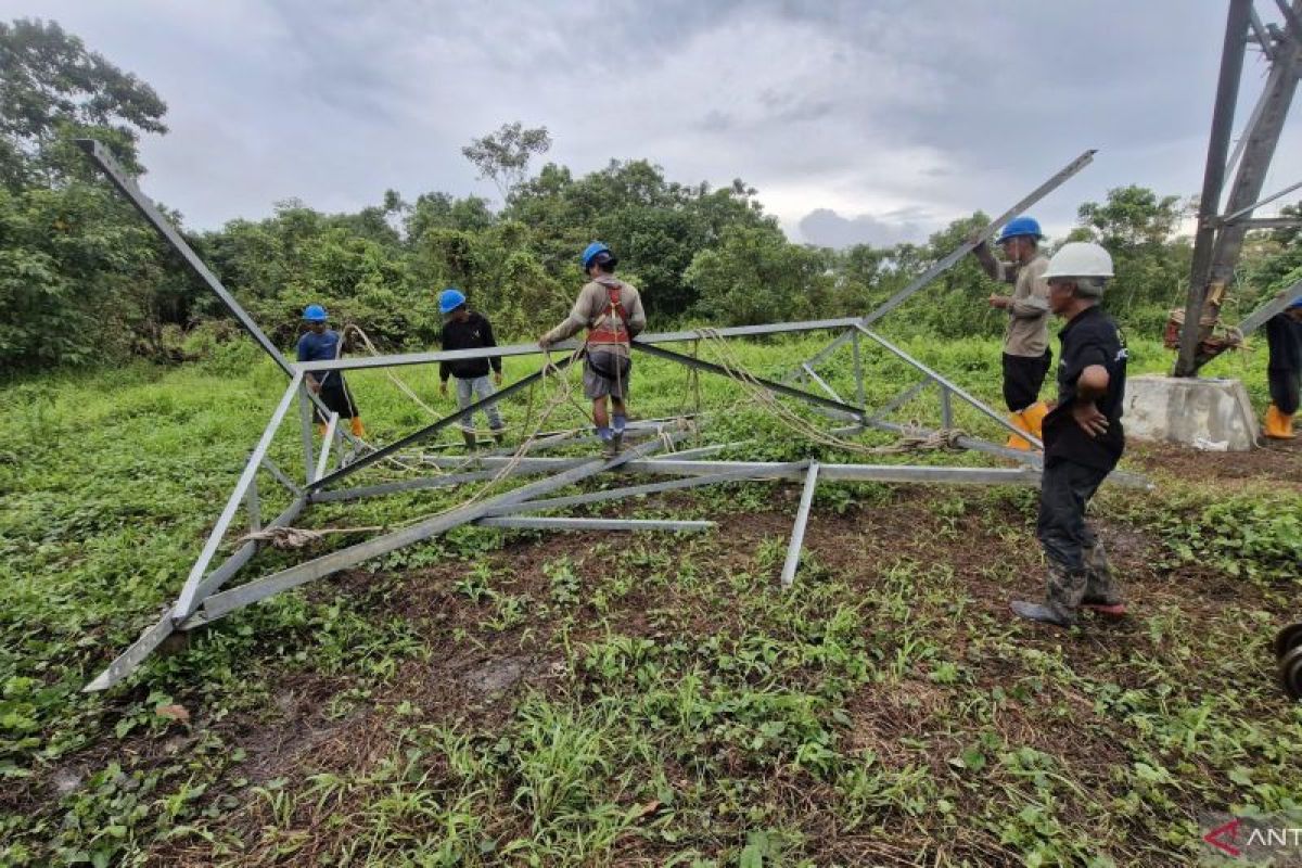 PLN kebut pembangunan SUTT Tanjung Redeb-Talisayan