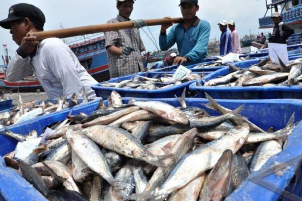 Pemkot Bontang  majukan industri pengalengan ikan