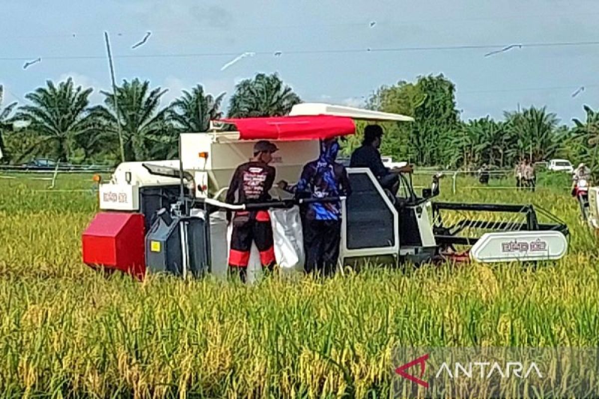 Petani di Kotim berharap pupuk bersubsidi ditambah sesuai keperluan