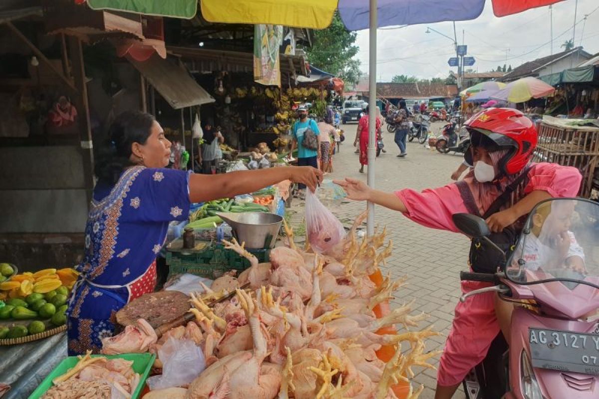 Retribusi Pasar Tulungagung triwulan I capai Rp1,2 miliar