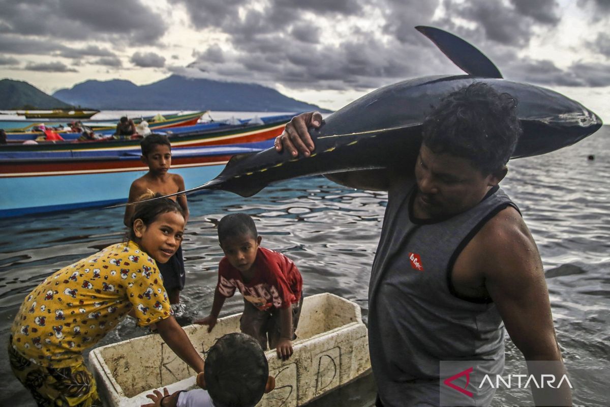 KKP sebut Indonesia merupakan produsen tuna terbesar dunia