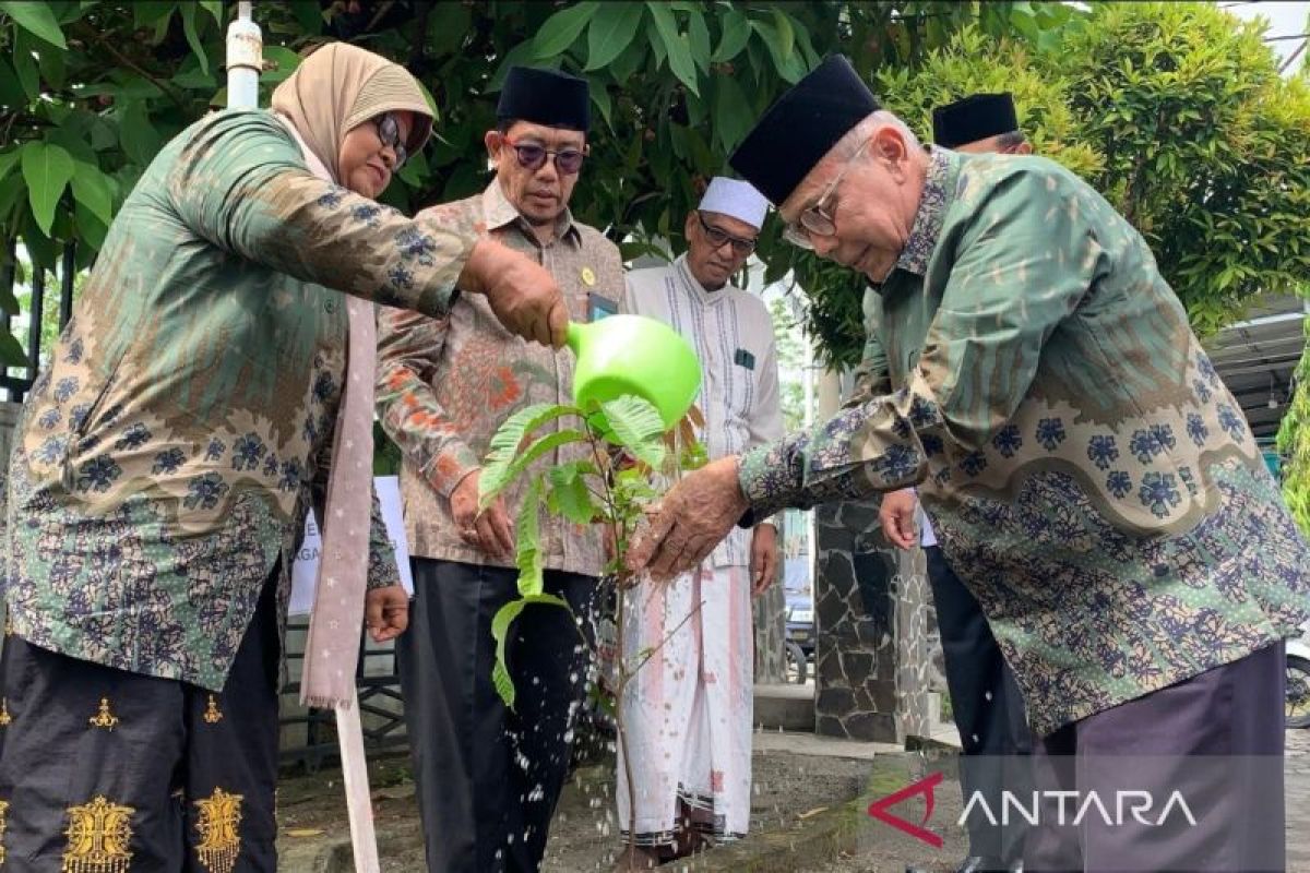 Kemenag Aceh Barat tanam ratusan pohon matoa hijaukan lingkungan