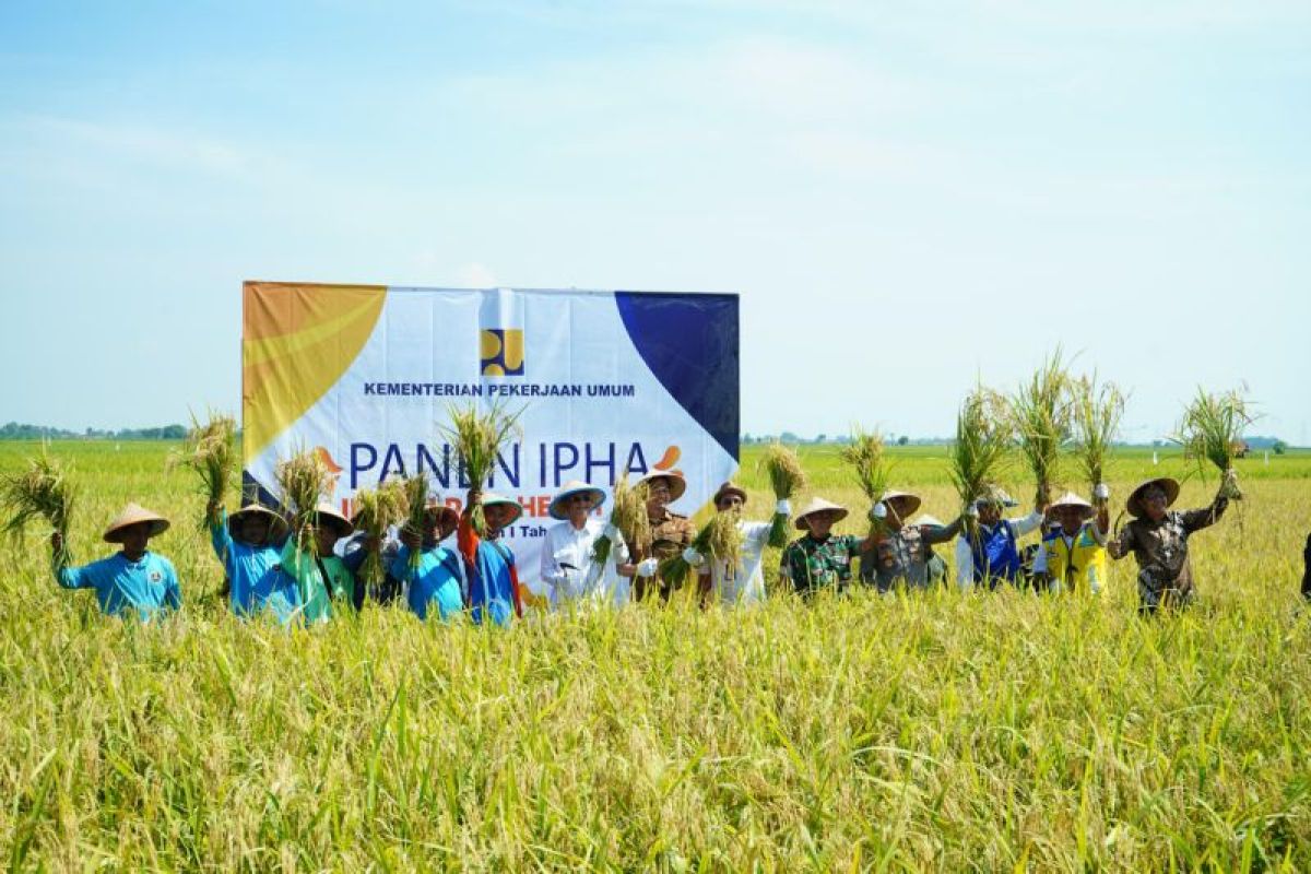 Menteri PU dorong perluasan irigasi guna tingkatkan produksi padi