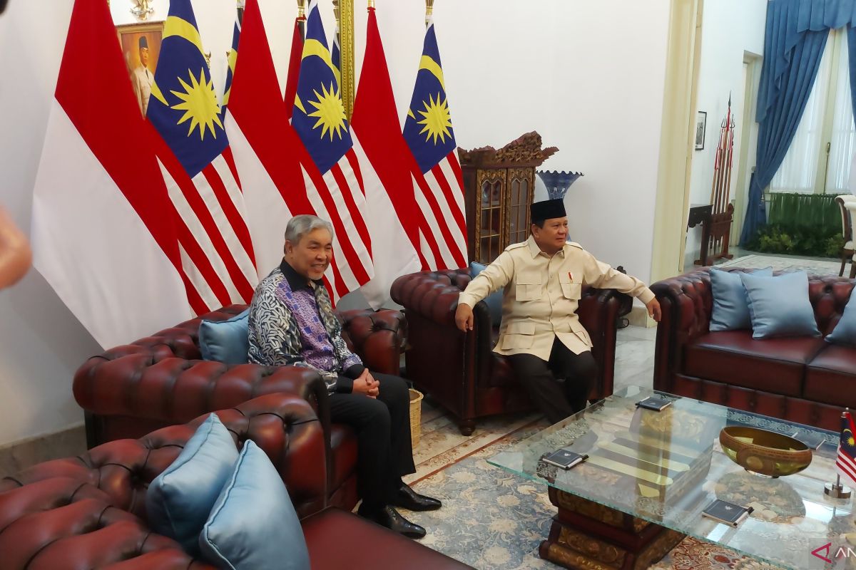 Prabowo, Malaysian Deputy PM discuss Gaza, Trump tariffs
