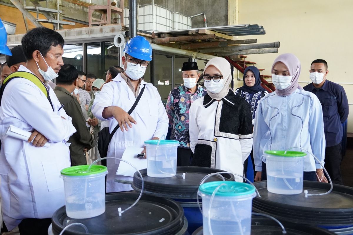 Pemprov Lampung alokasikan Rp10 miliar untuk alat pengering bagi petani