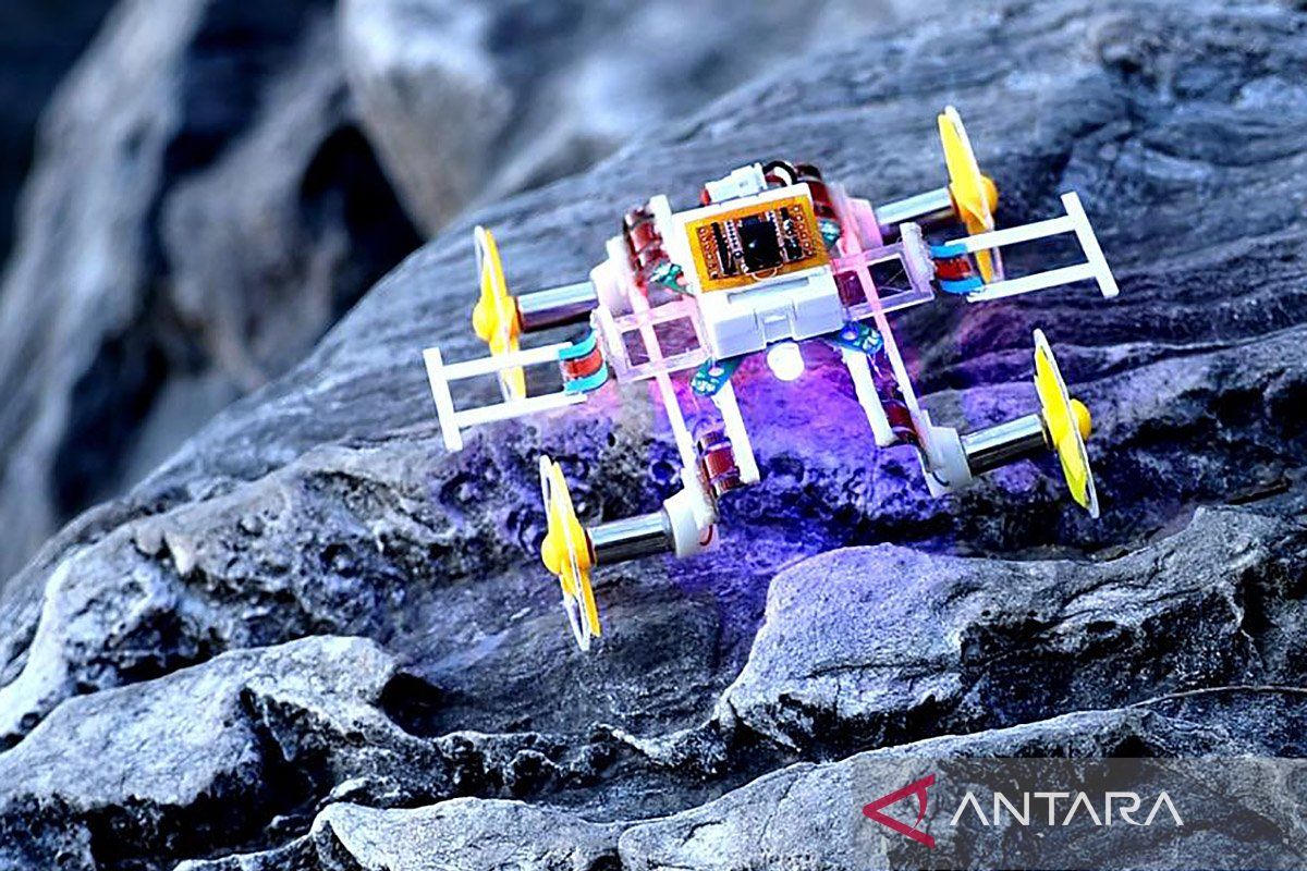 Ilmuwan China kembangkan robot mikro nirkabel terkecil di dunia
