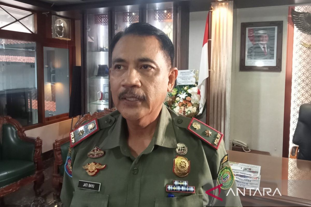 Satpol PP minta aktivitas peternakan babi di Plumutan dihentikan